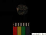 L_V20d4092 A16q37.1 R827 dM bd f4.JPG L_V20d4092 A16q37.1 R827 dM bd f4